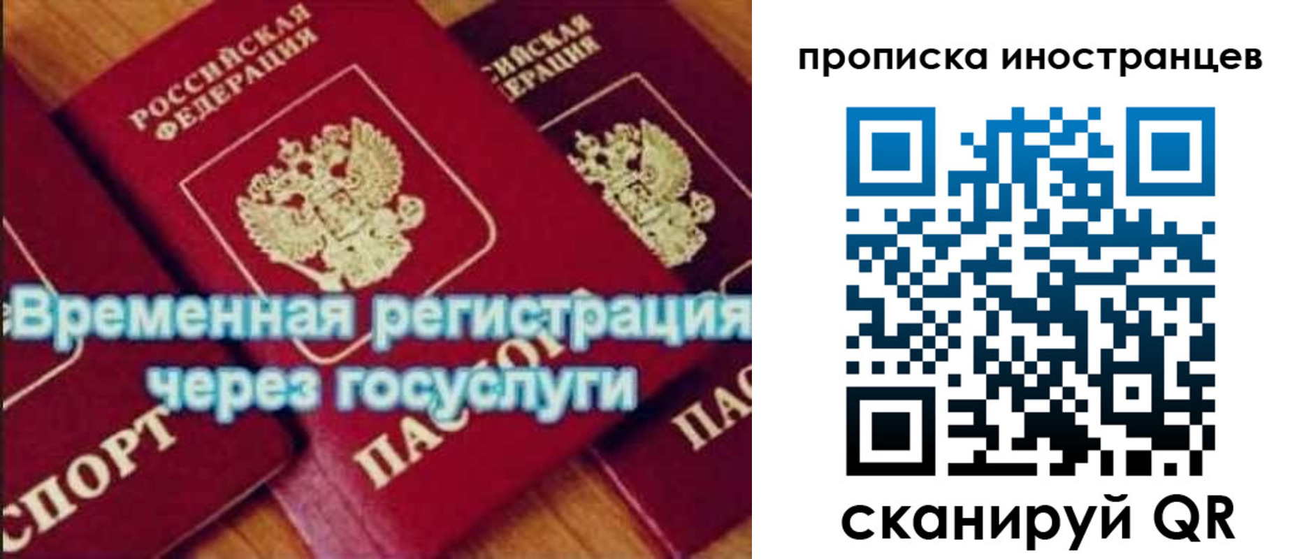 купить прописку в Сельцо